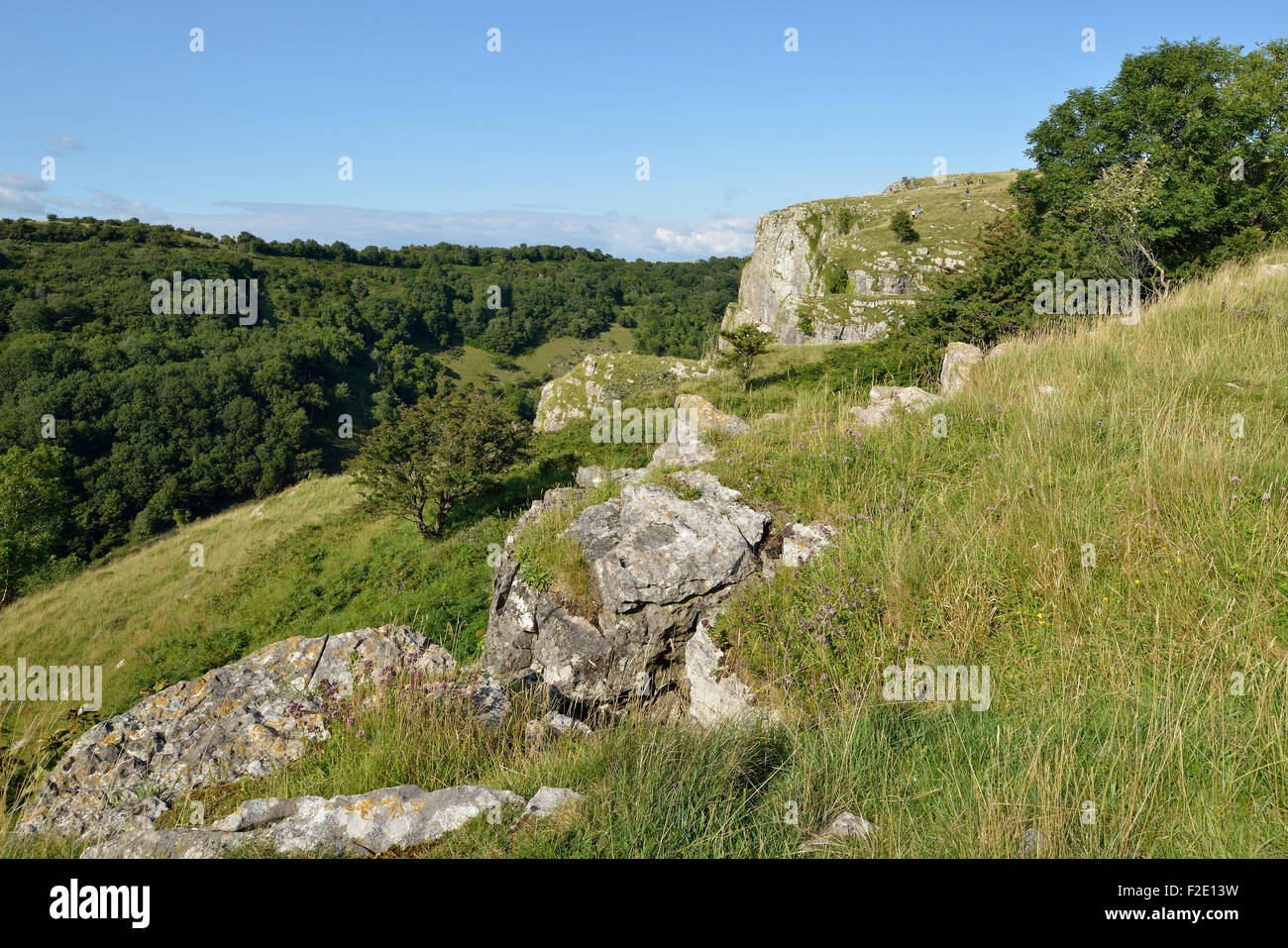 Cheddar Gorge, Mendip Hills, Somerset South side cliffs from the top Stock Photo