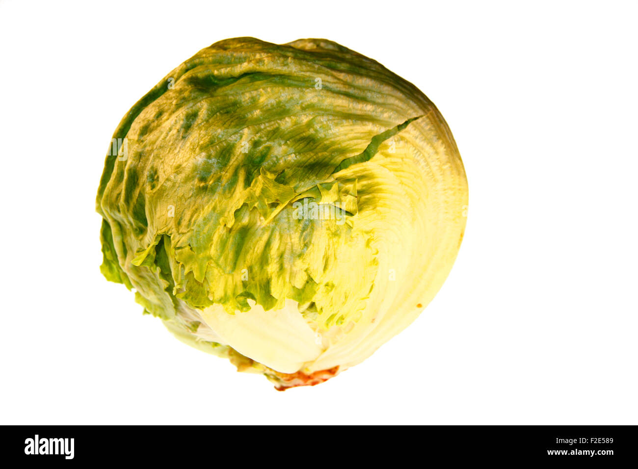 Kopfsalat / gruener Salat - Symbolbild Nahrungsmittel. Stock Photo
