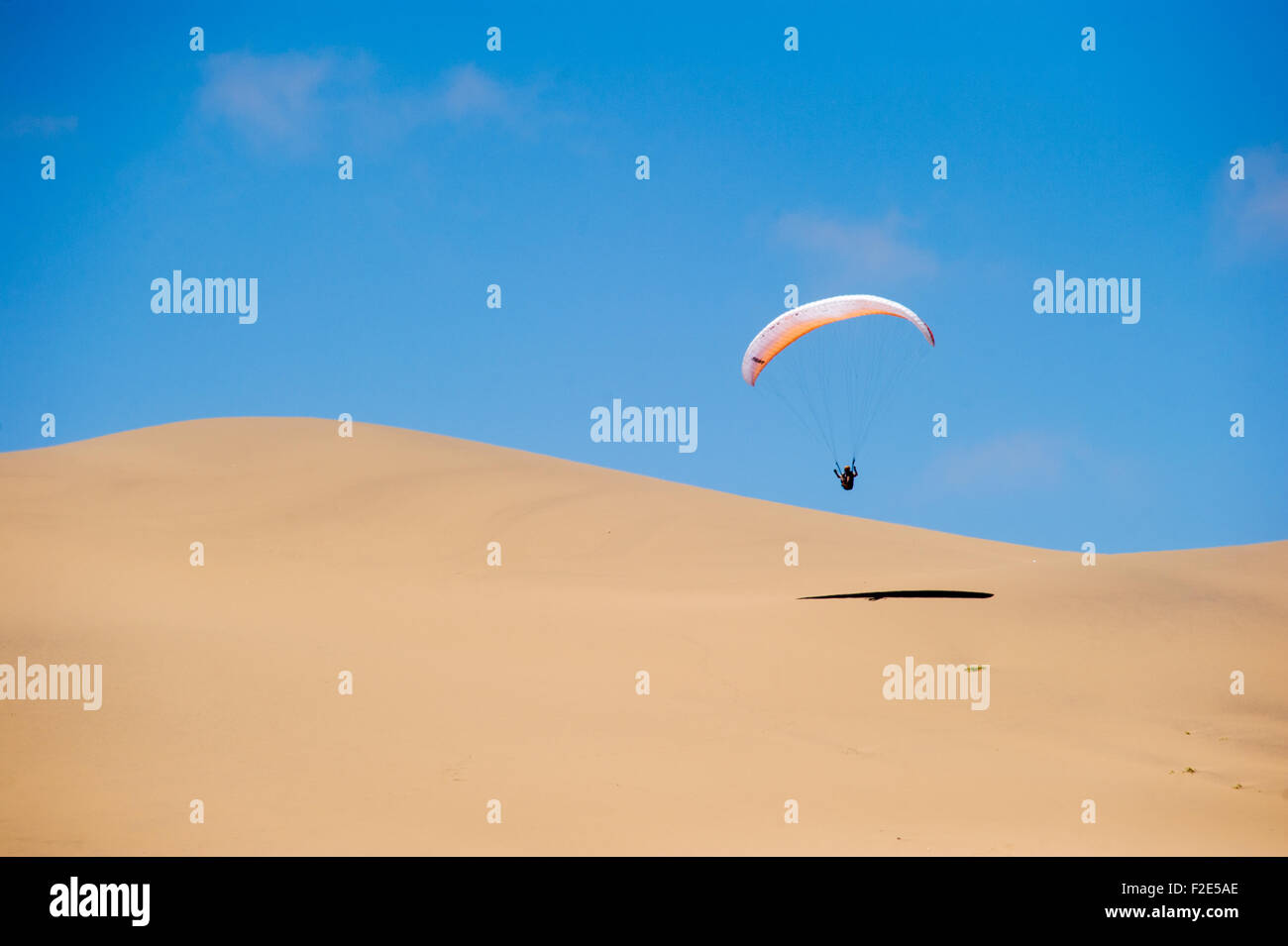 Parachuter making a landing in the desert in Swakopmund, Namibia, Africa Stock Photo