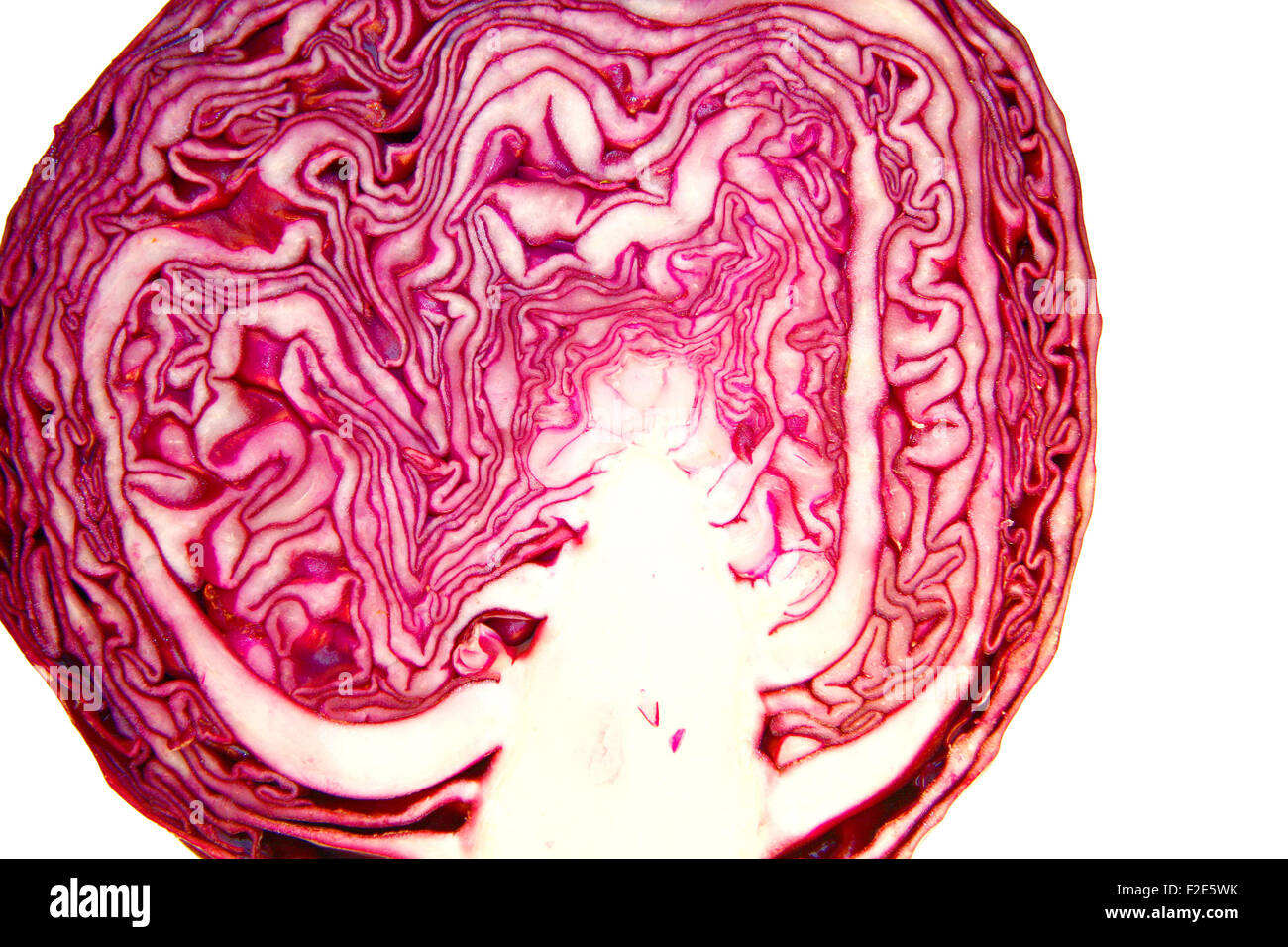 Rotkohl - Symbolbild Nahrungsmittel. Stock Photo