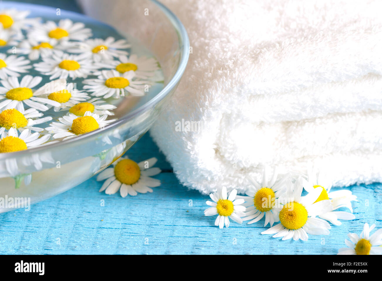 Camomile extract with towel on blue boards background Stock Photo