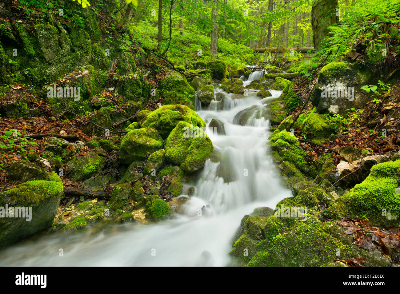 Slovakia Raj Slovensky raj hi-res stock photography and images - Alamy