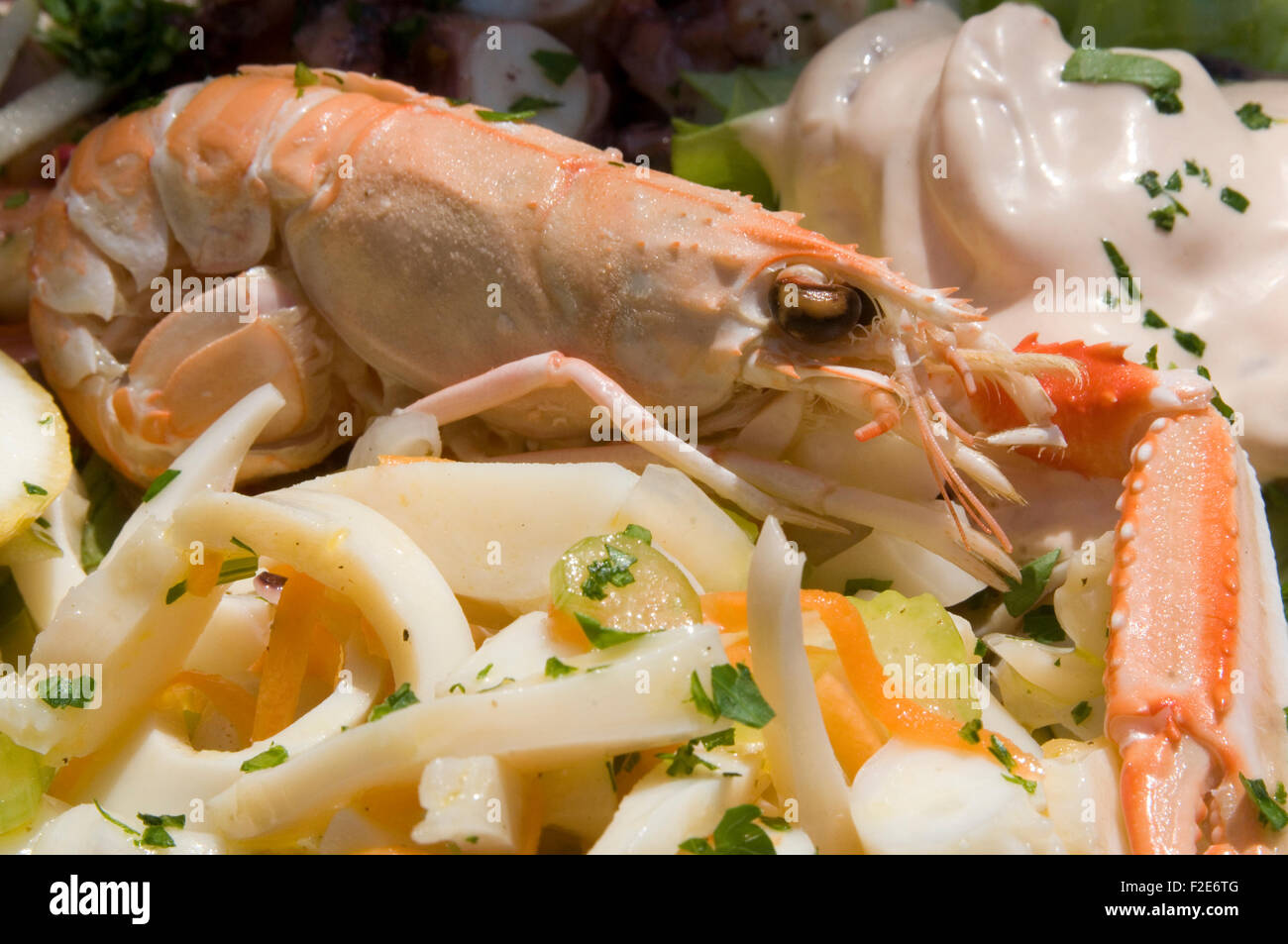langoustines langoustine crustrations crustration cooked pink seafood sea food Stock Photo