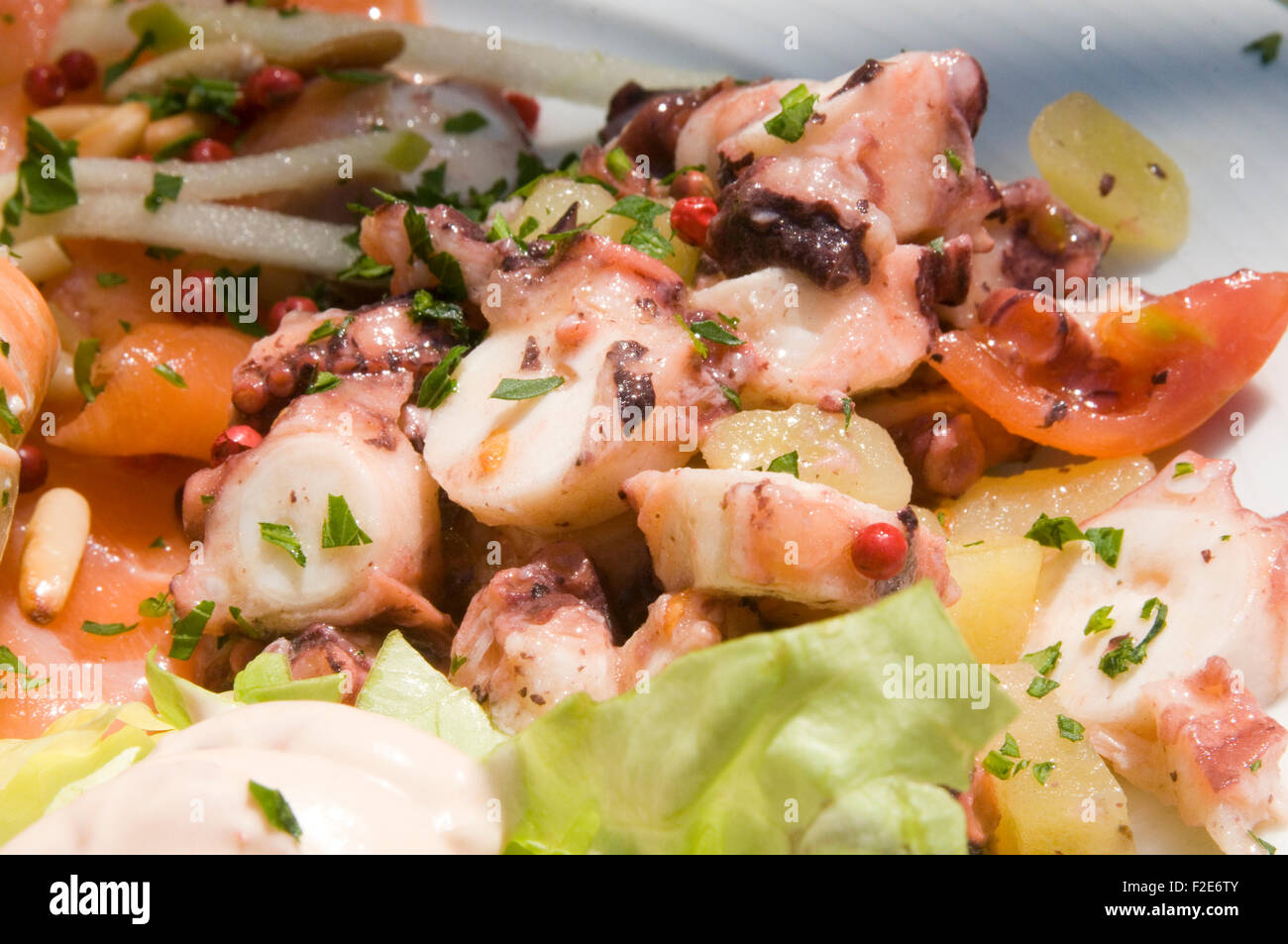 cooked octopus food seafood salad tentacle tentacles dressing dressings salads sea food Stock Photo