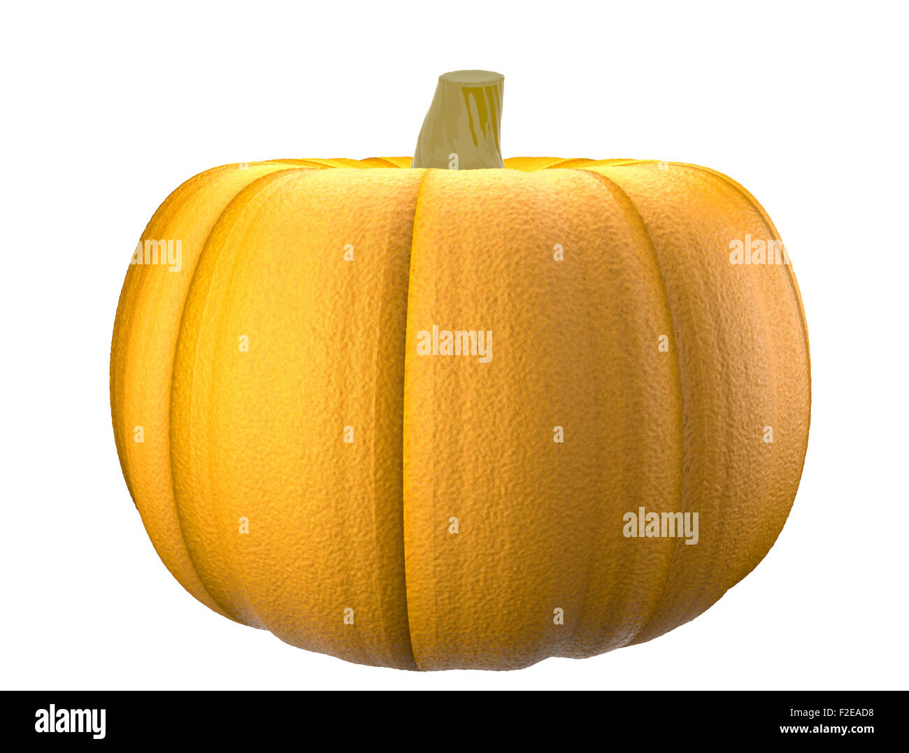 Isolated close - up of a realistic pumpkin (3D Render) Stock Photo