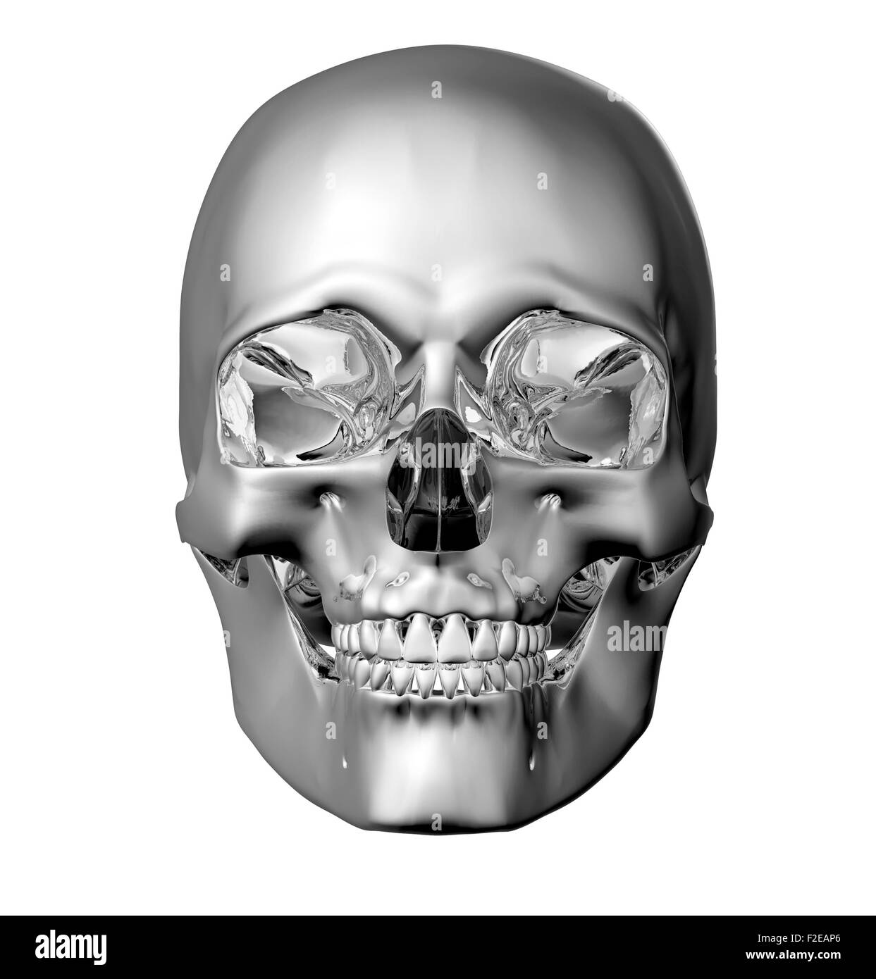 metal scull isolated on white with clipping path. Stock Photo