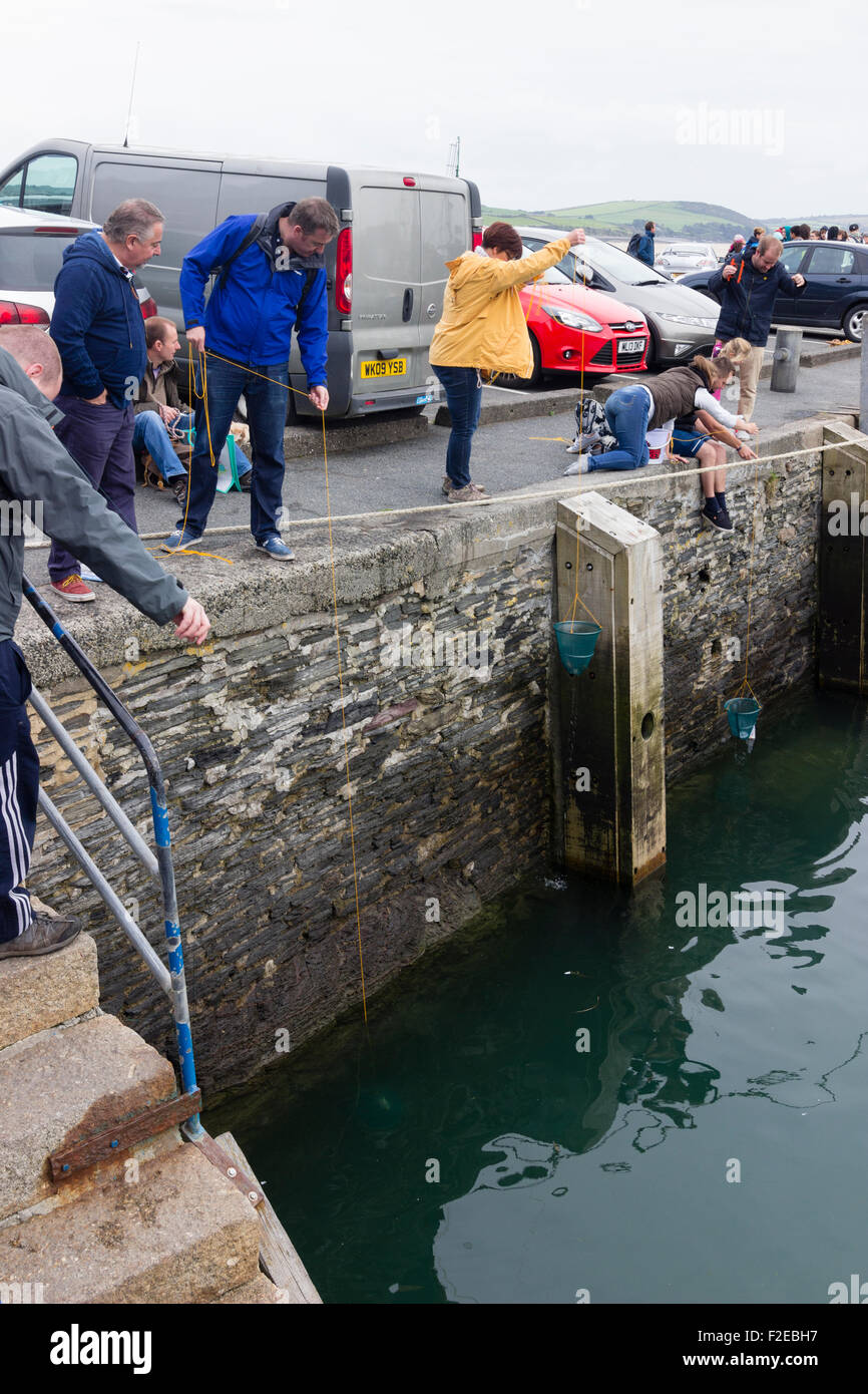 Holidaymakers fishing for shore crabs in Padstow, Cornwall, harbour using baited nets Stock Photo