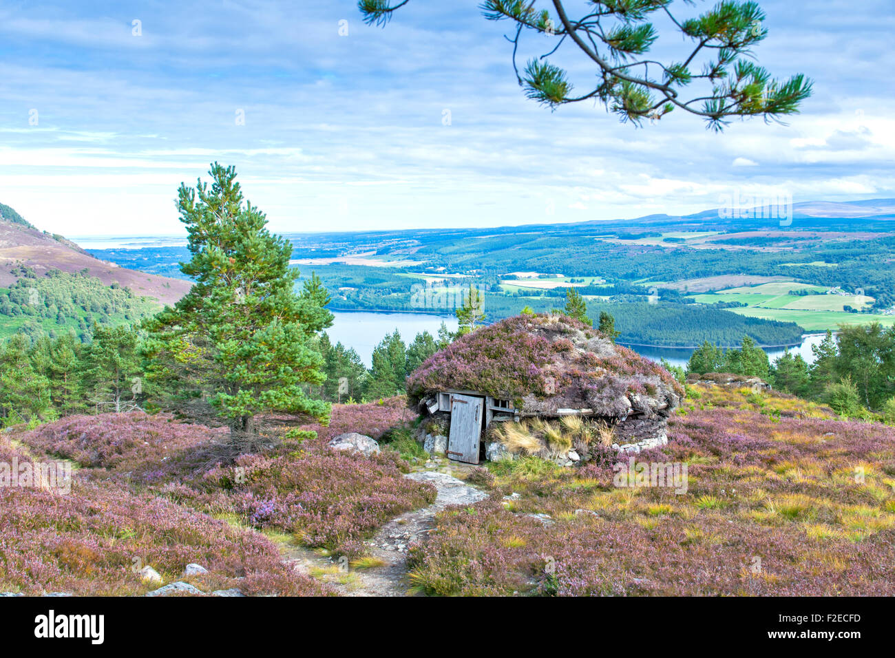 ABRIACHAN TRAIL OR WALK ABOVE LOCH NESS  THE SHIELING HUT  SURROUNDED BY PURPLE HEATHER  IN LATE SUMMER AND VIEW TO INVERNESS Stock Photo