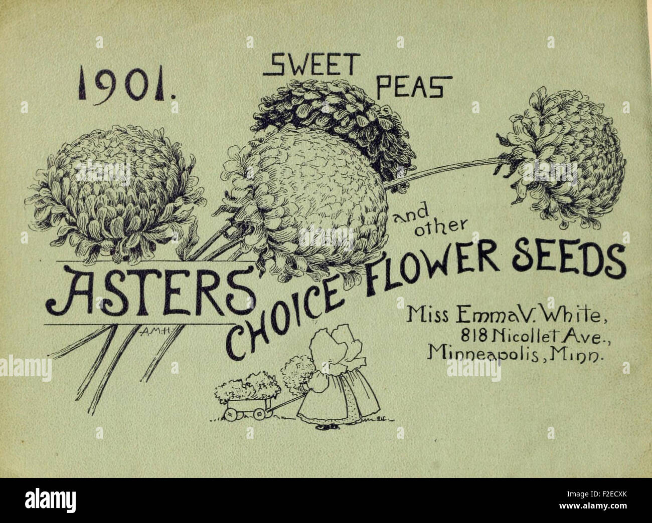 *Choice Flower Seeds* provides a catalog of flower and vegetable seeds