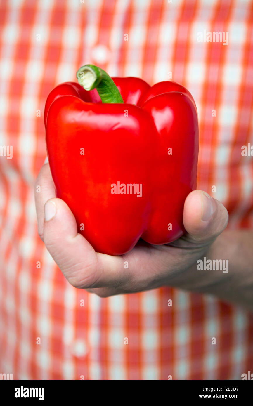 closeup of man holding a pepper in his hand Stock Photo