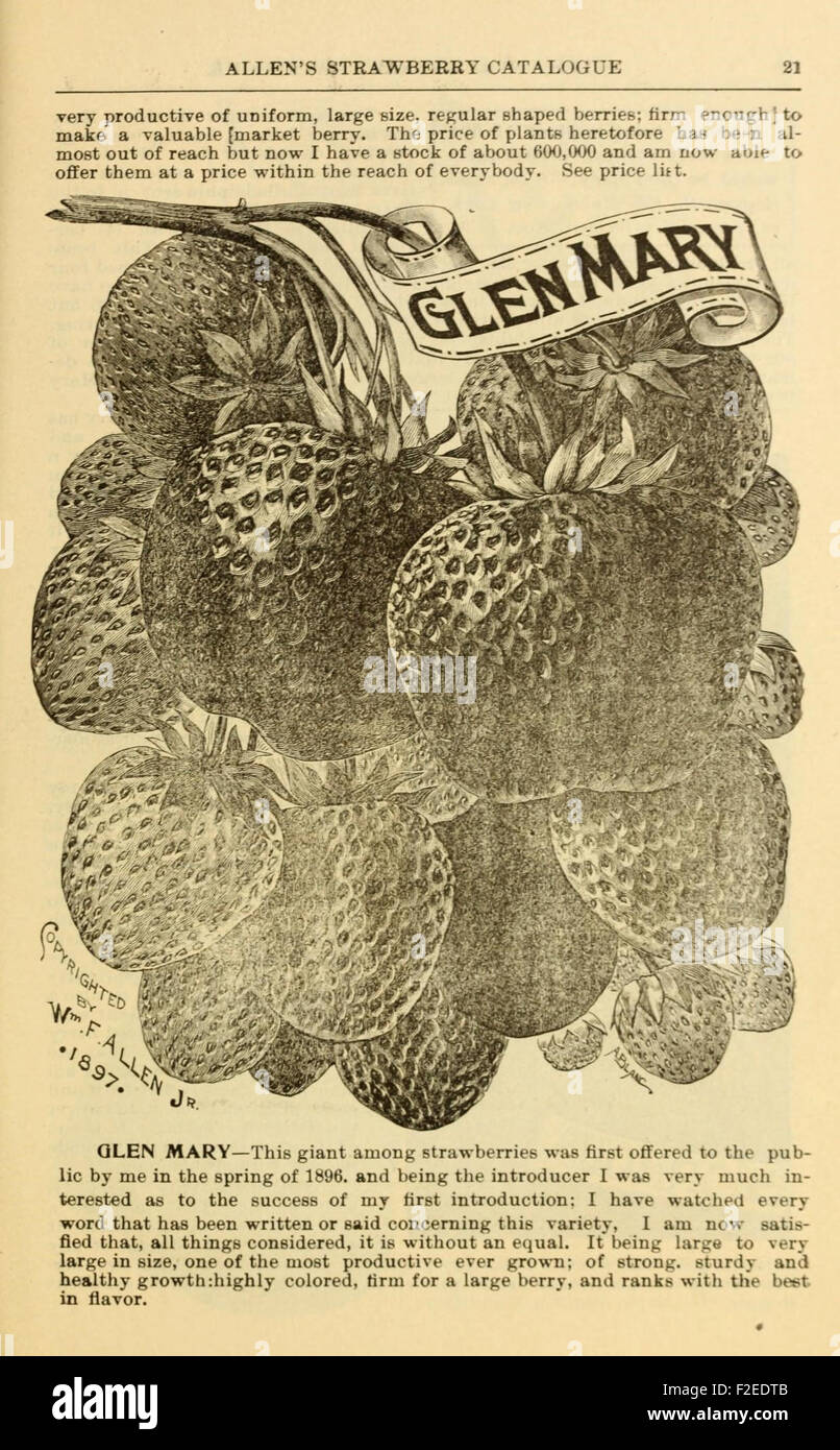 *Allen's Strawberry Catalogue for 1900* provides a catalog of