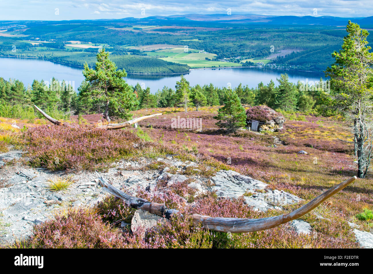 ABRIACHAN TRAIL OR WALK ABOVE LOCH NESS CARVED WOODEN HORNS OVERLOOKING THE SHIELING HUT  SURROUNDED BY PURPLE HEATHER Stock Photo