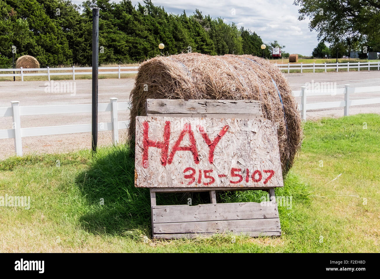 Equestrian Sale Of Surplus Small Hay Bales Wrexham Uk Horse Feed Supplements Equestrian Sale Of Surplus Small Hay Bales Wrexham Uk Horse Feed Supplements