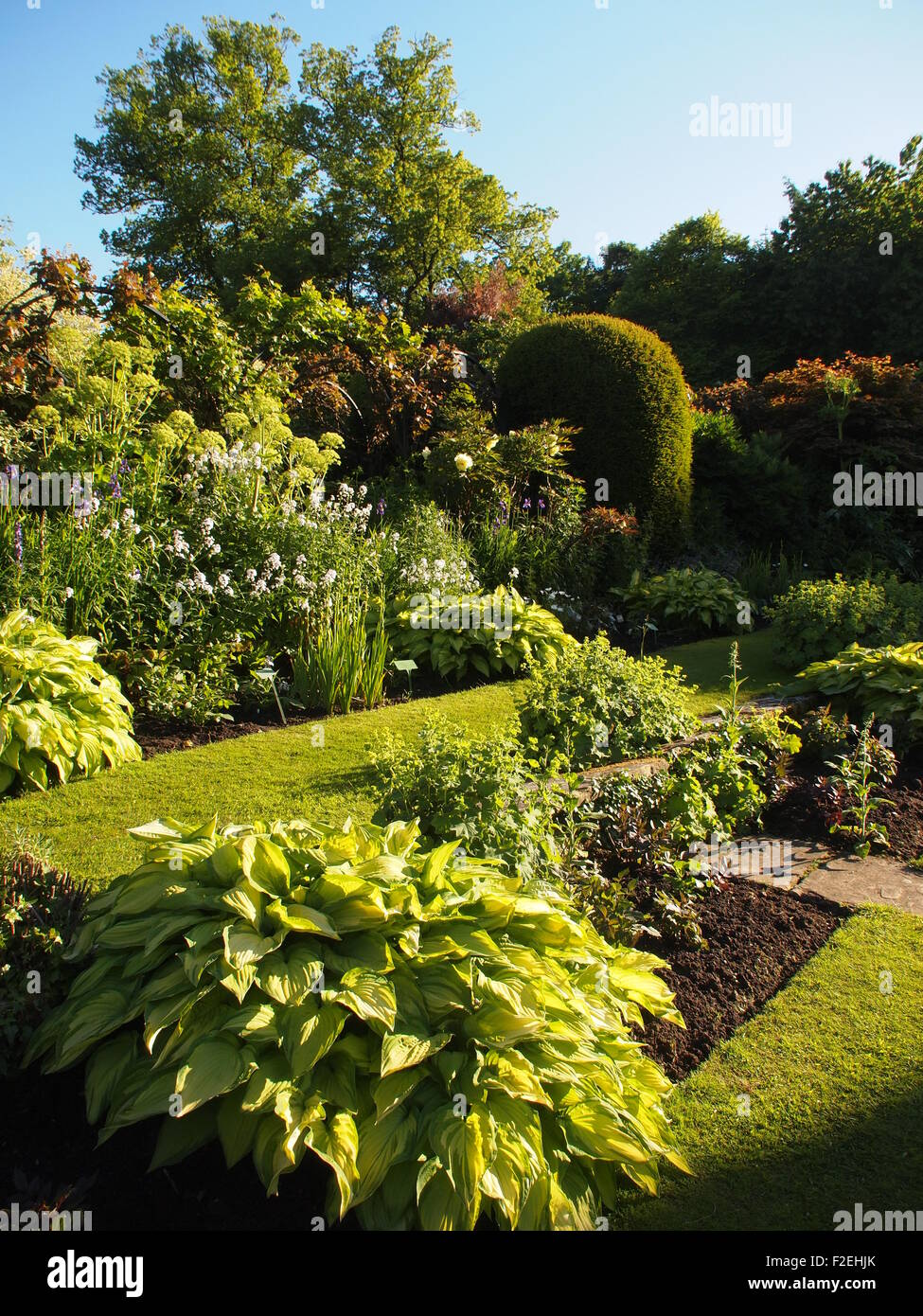 Chenies Manor; portrait view of sunken garden in afternoon sun with