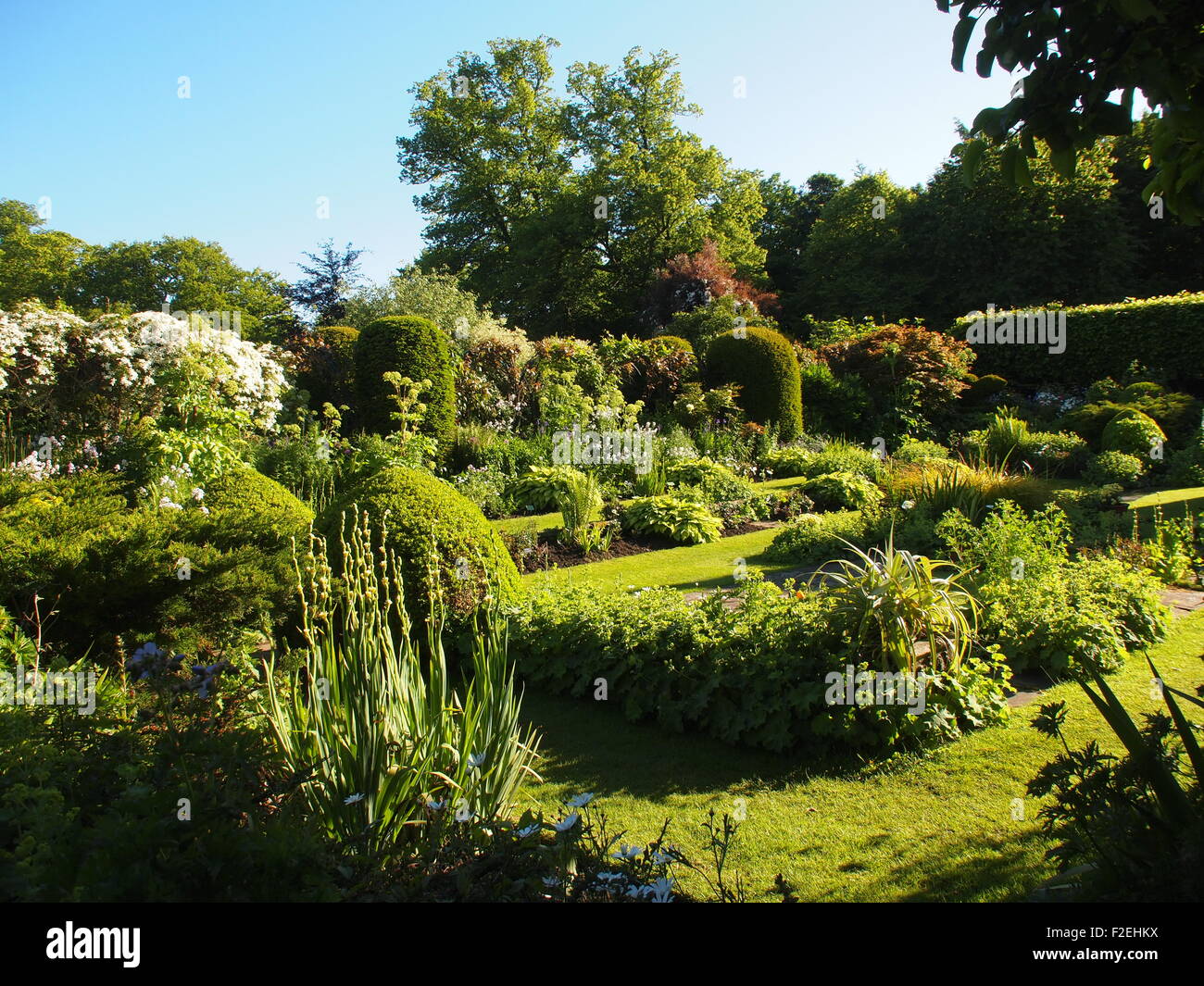 Landscape view of Chenies Manor sunken Garden in early June with fresh new green plants and blue sky, with sun and shadow. Stock Photo