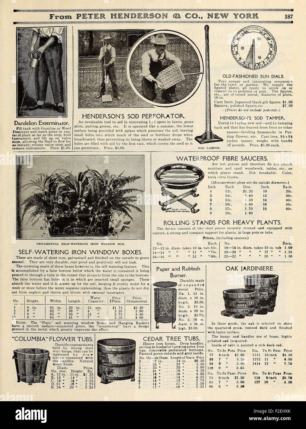This vintage illustration from a historic gardening catalog showcases