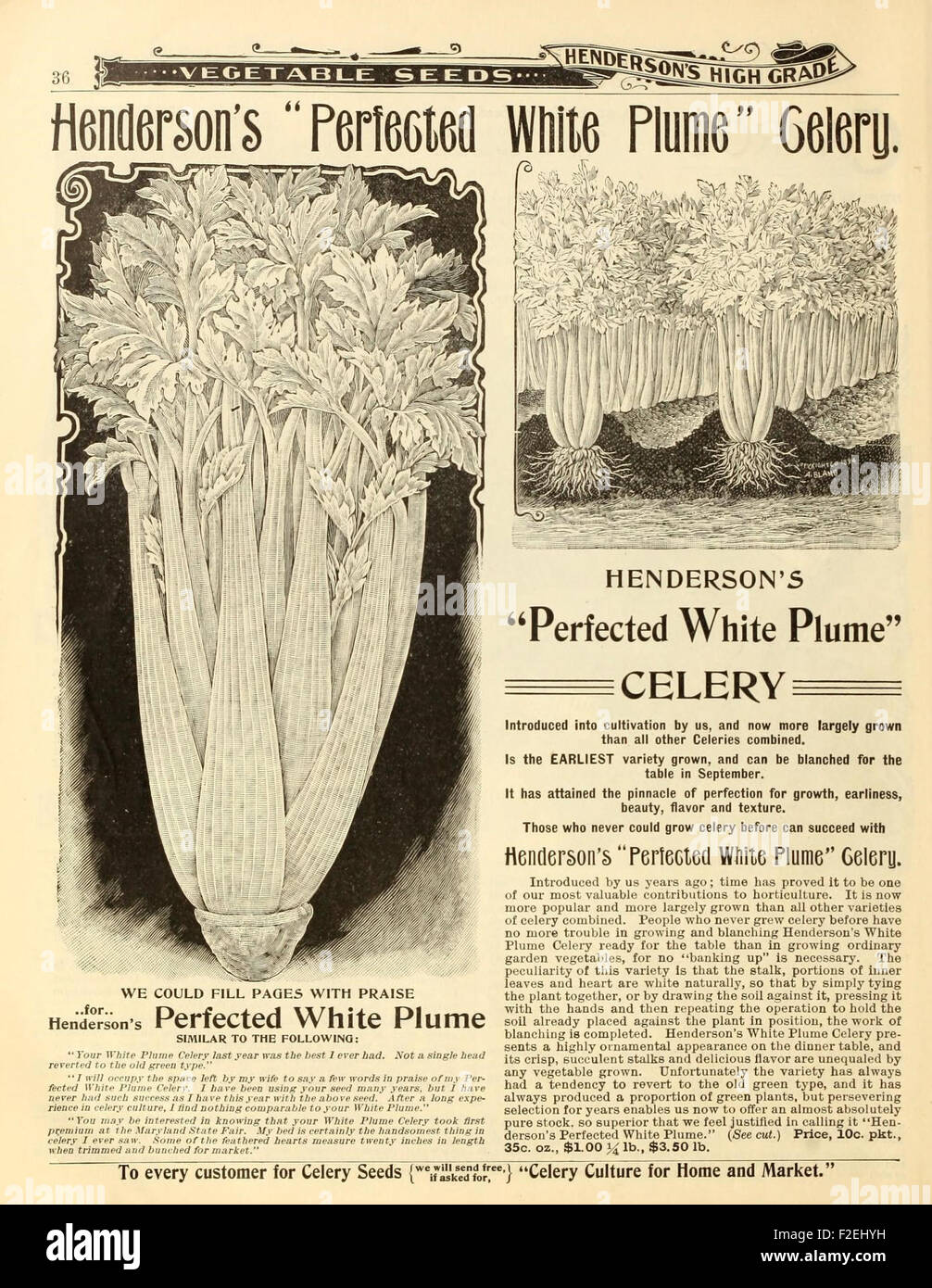 A comprehensive catalog of garden supplies and seeds, including flowers