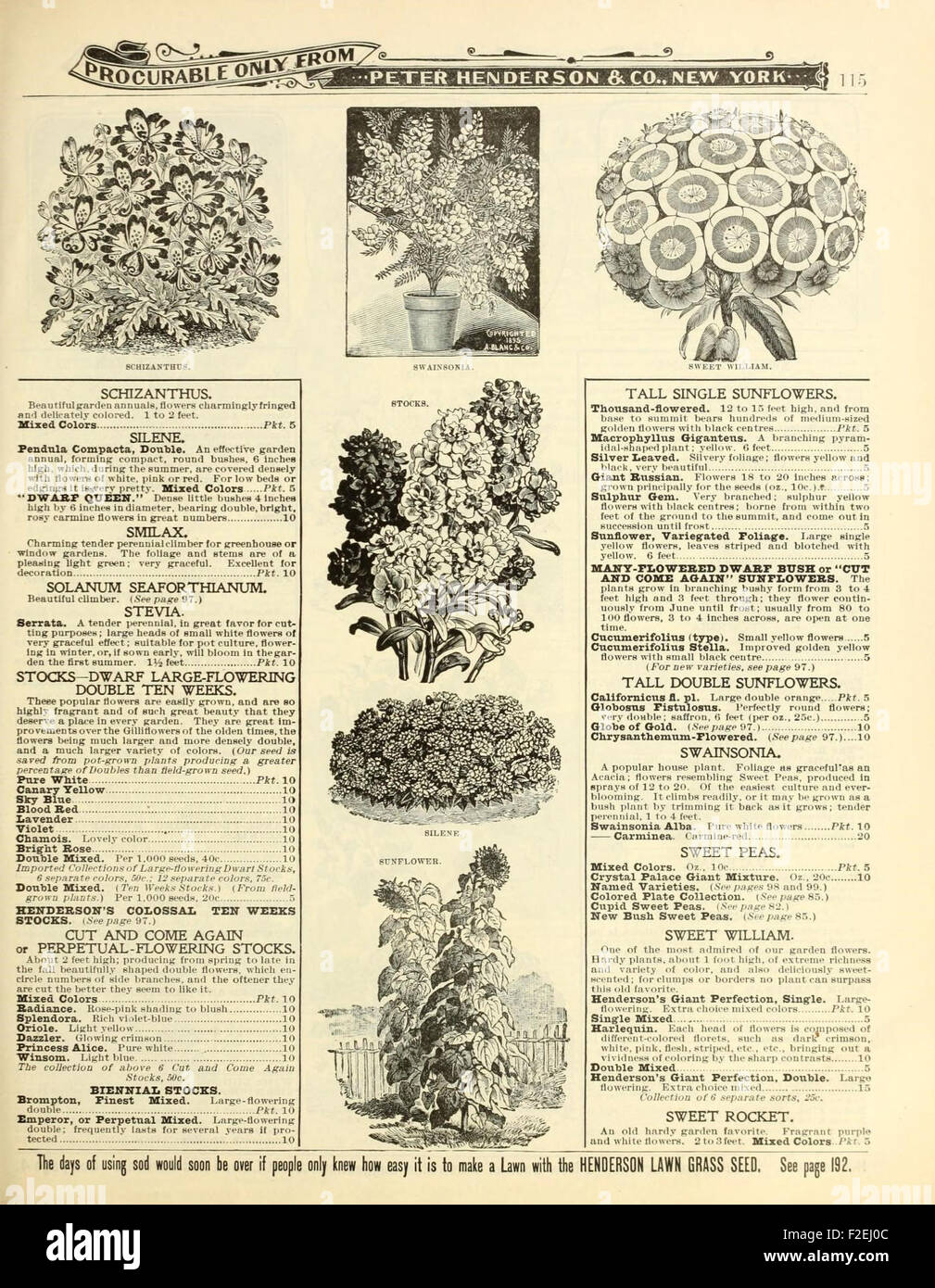 *Everything for the Garden* is a vintage catalog from Peter Henderson