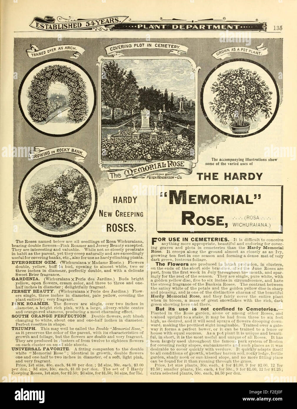 This 19thcentury catalog from Peter Henderson & Co. offers a wide