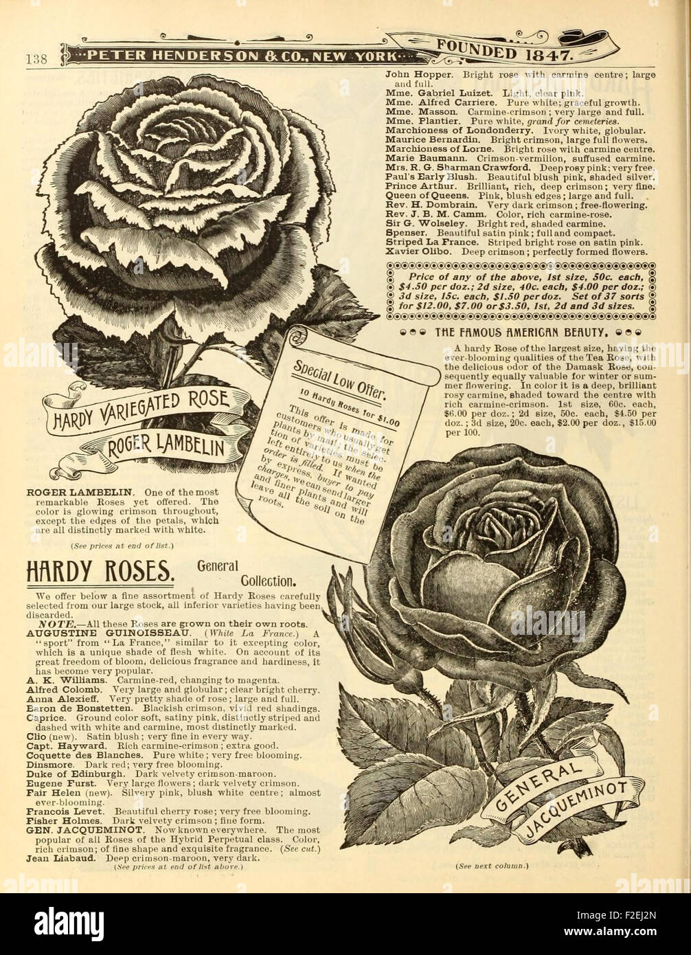 This catalog from Peter Henderson & Co. offers a wide range of