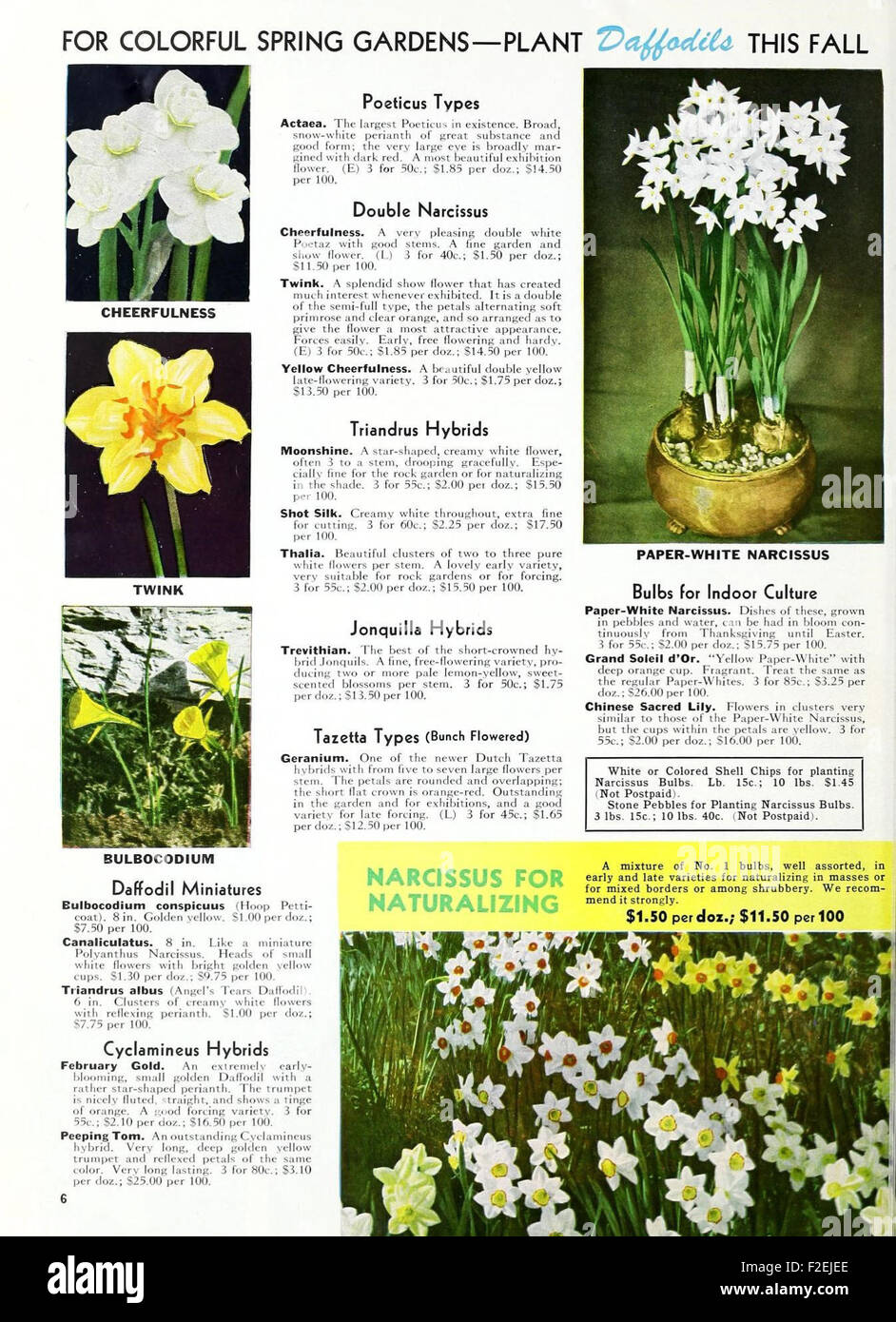 This 1966 catalog features various horticultural products, including a