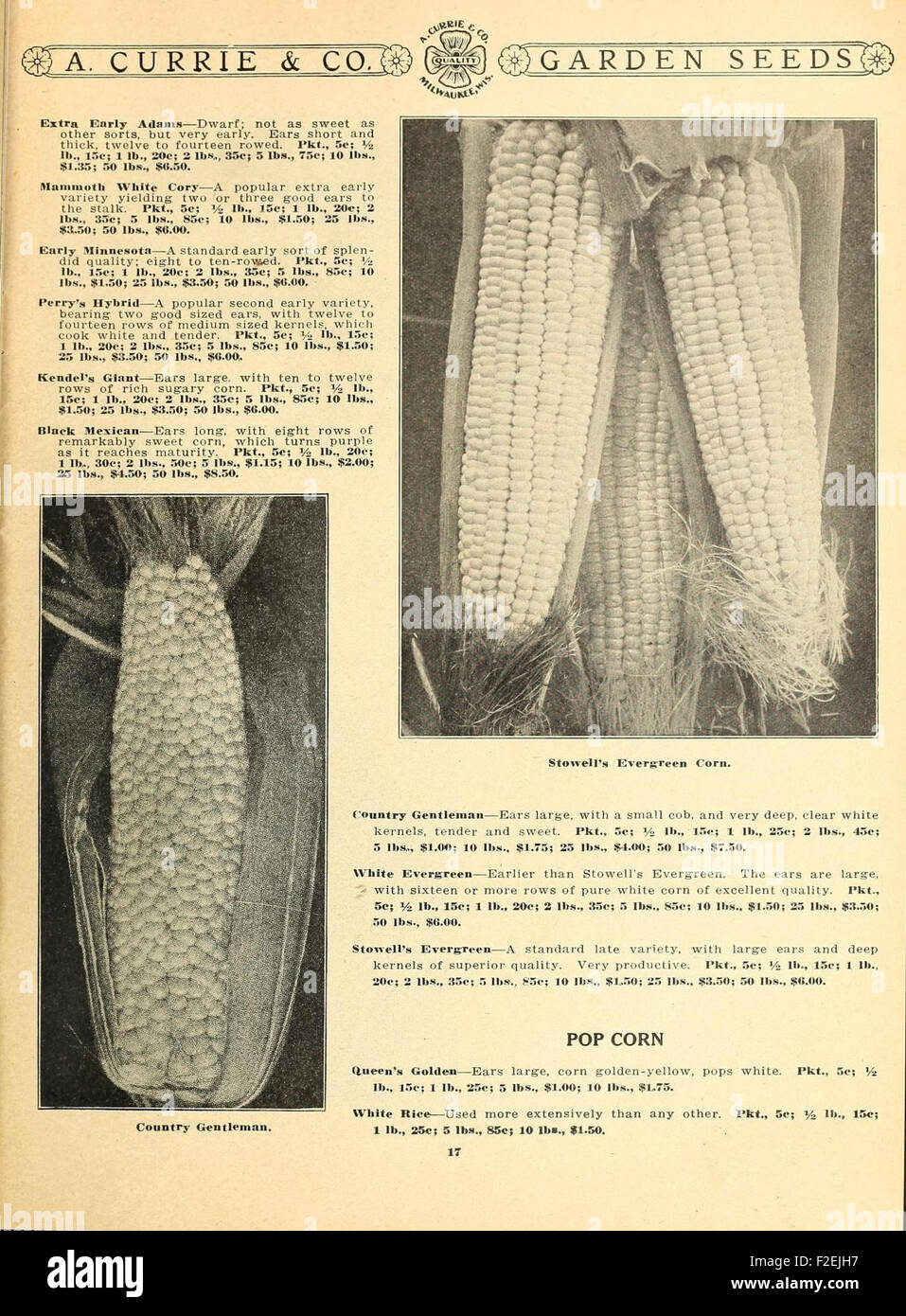 This 19thcentury agricultural catalog offers insights into farm and