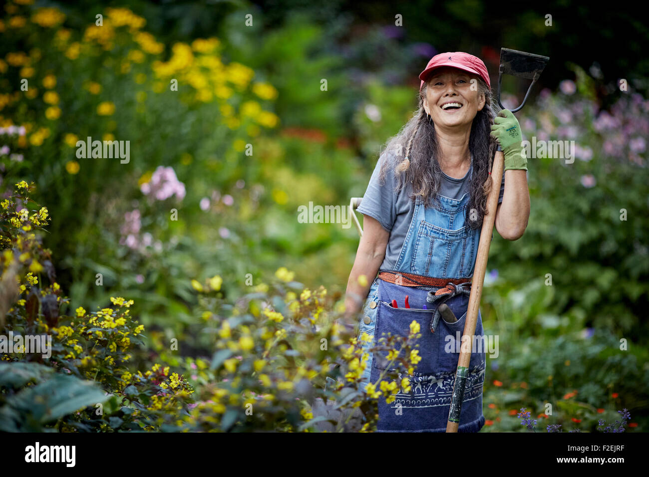 Parsonage gardens in Didsburyflower beds blooming bloom tidy pretty     Park open space public recreation recreational play play Stock Photo