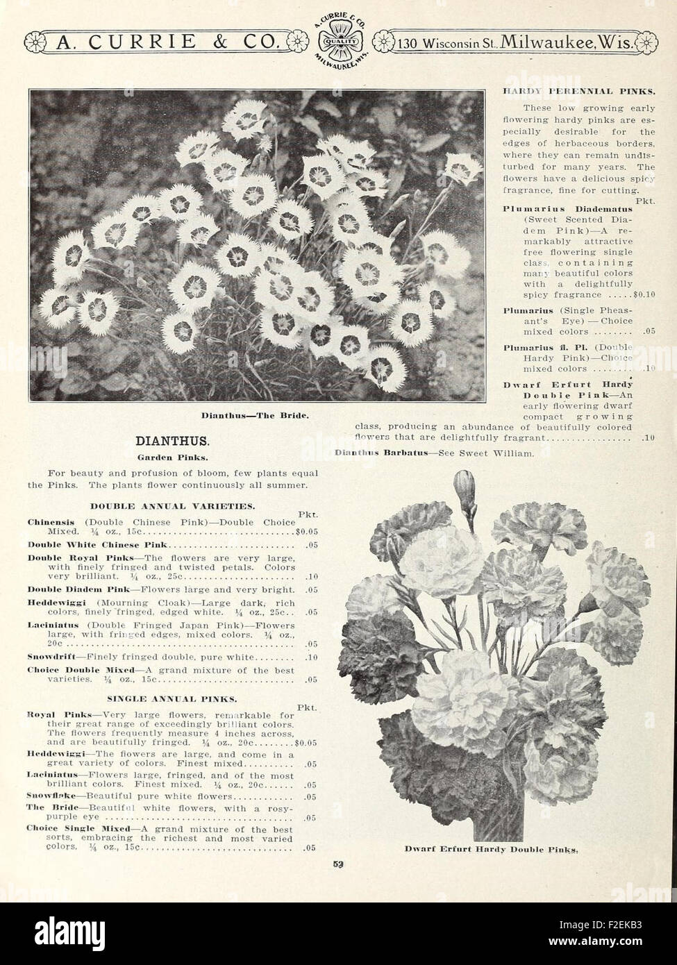 A vintage catalog featuring garden and farm seeds, showcasing a variety