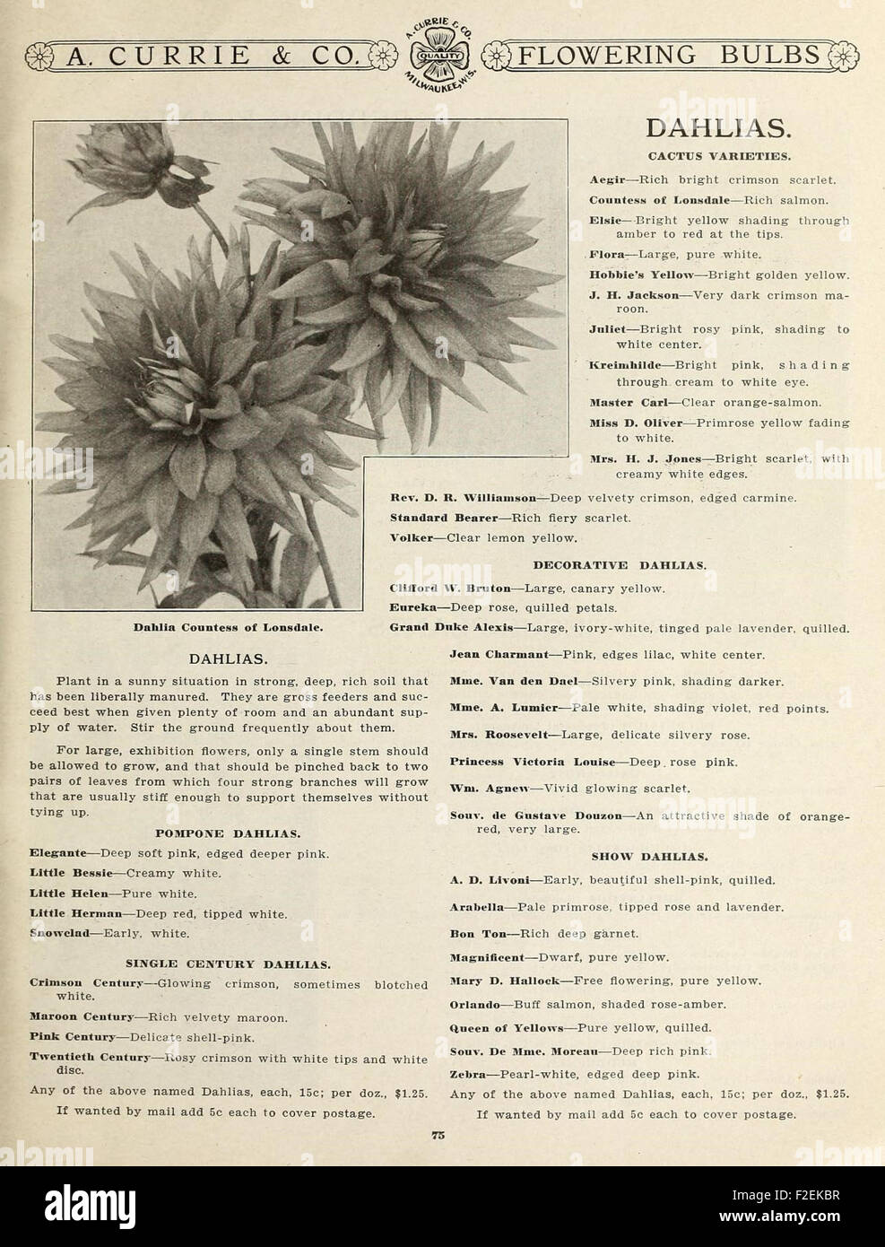 This catalog from the U.S. Department of Agriculture offers a