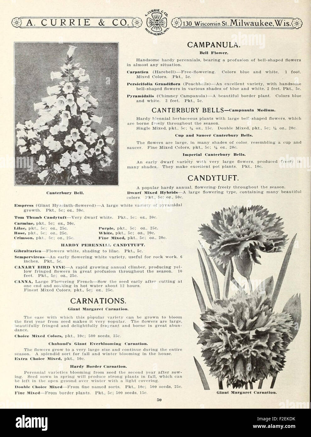 A vintage catalog on garden and farm seeds, featuring illustrations and