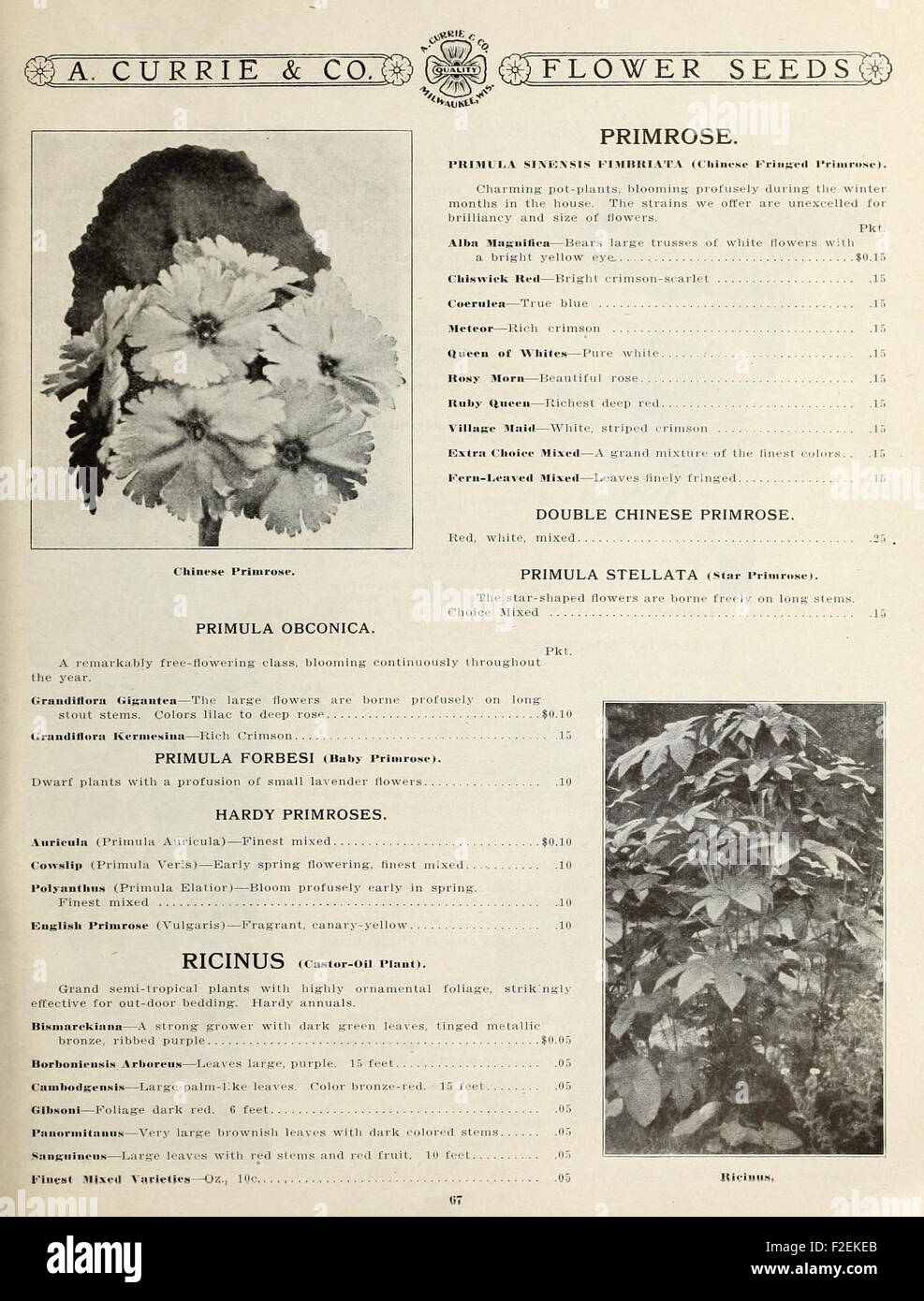 This vintage catalog on garden and farm seeds from the U.S. Department