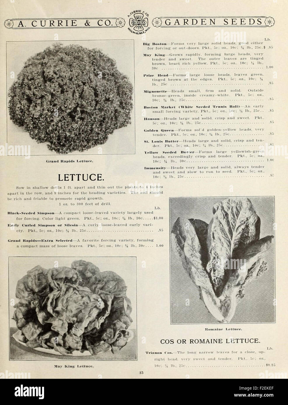 This catalog features a variety of seeds for both gardens and farms