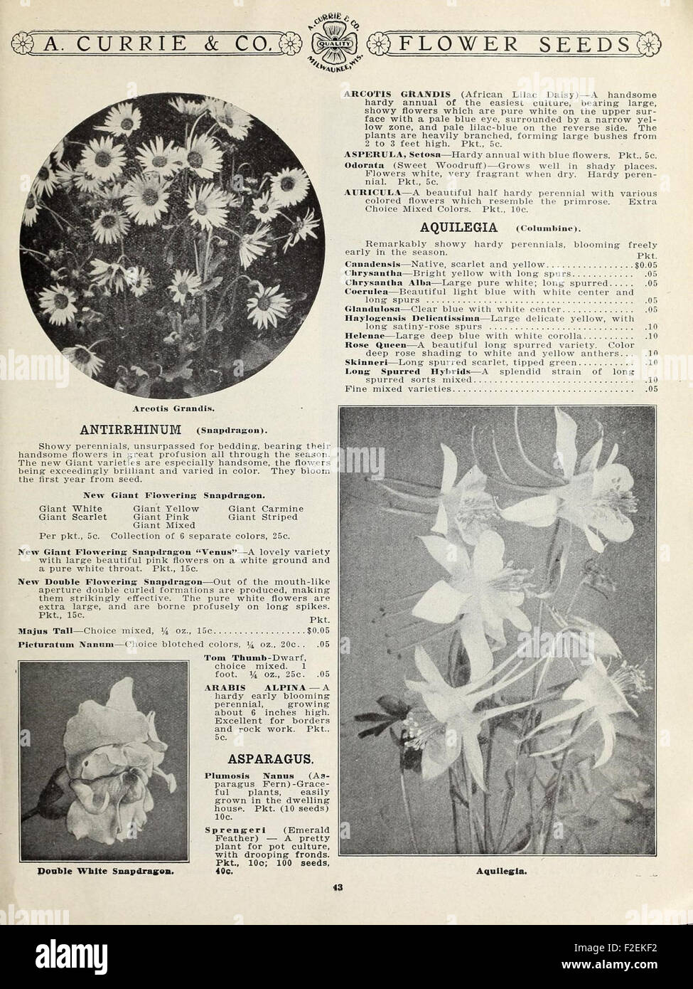 This vintage catalog provides a comprehensive listing of garden and