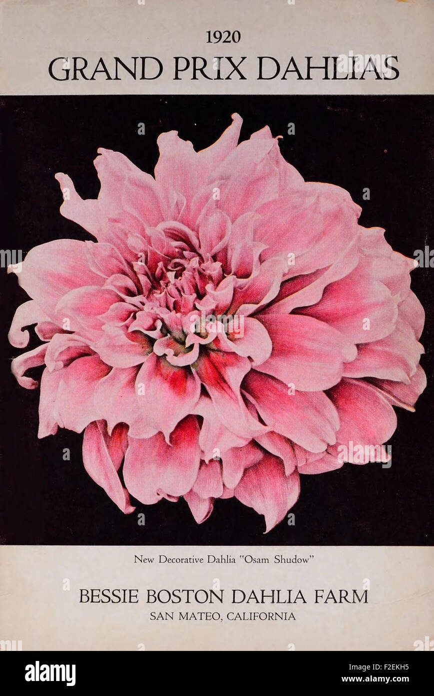 This catalog showcases Grand Prix dahlias, a prominent variety of