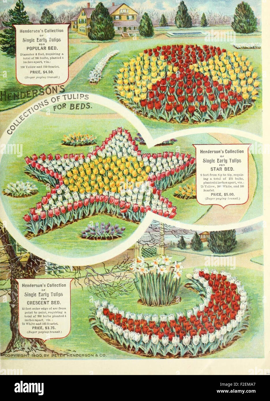 Autumn bulbs catalogue Stock Photo Alamy