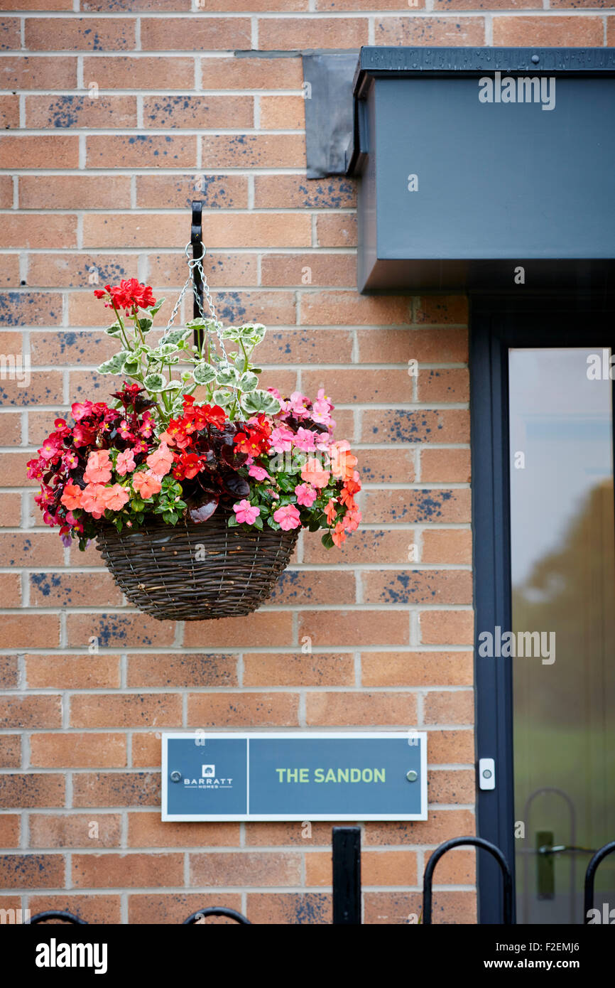 Hanging basket flowers hi-res stock photography and images - Alamy