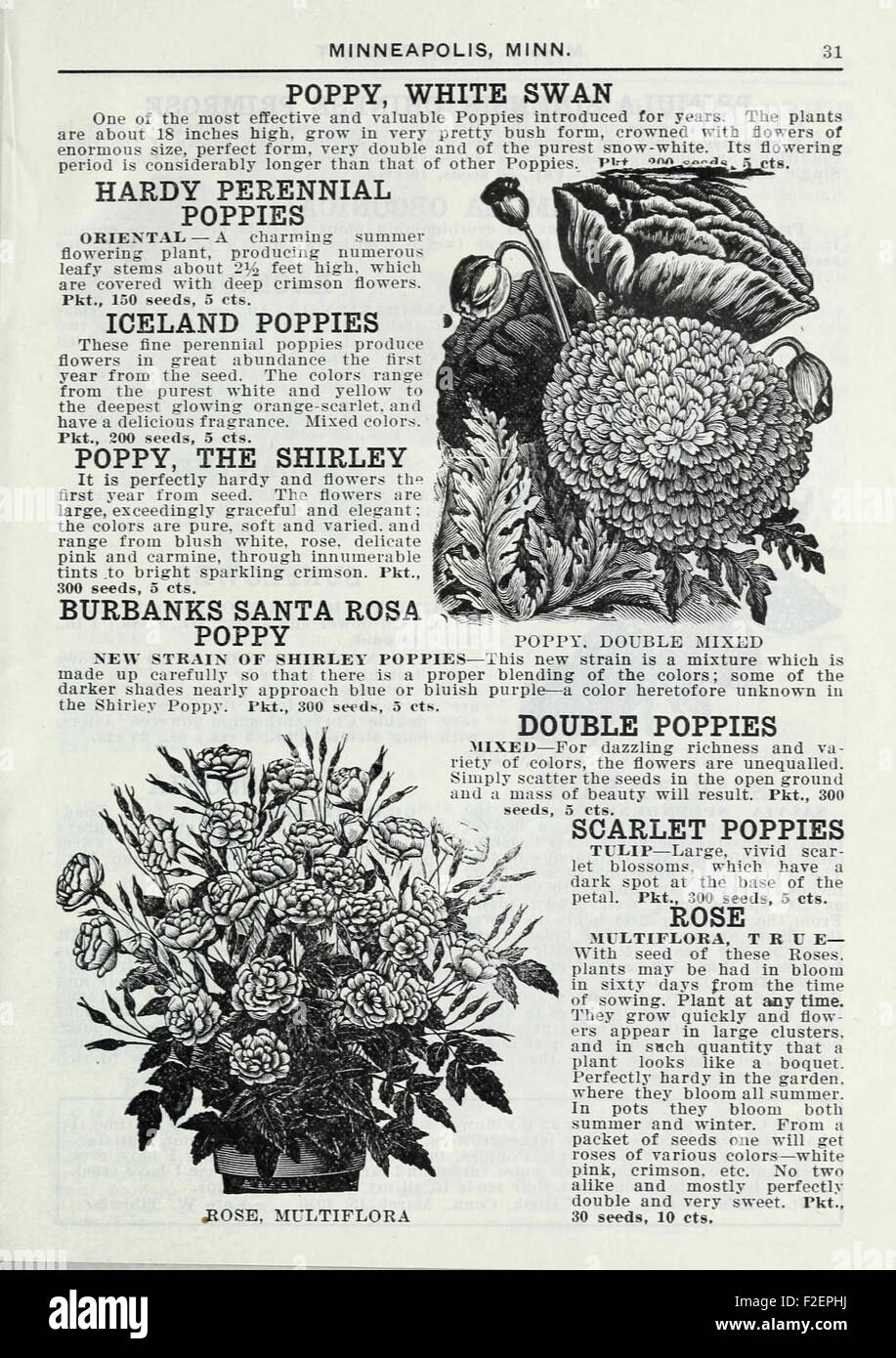 National agricultural library vegetables fruit gardening seeds hires