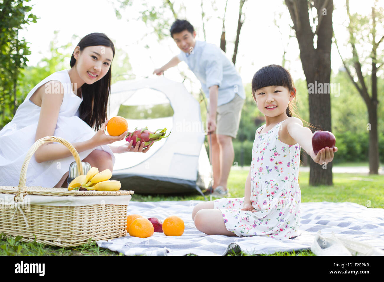 Asian indian family picnic hi-res stock photography and images - Alamy