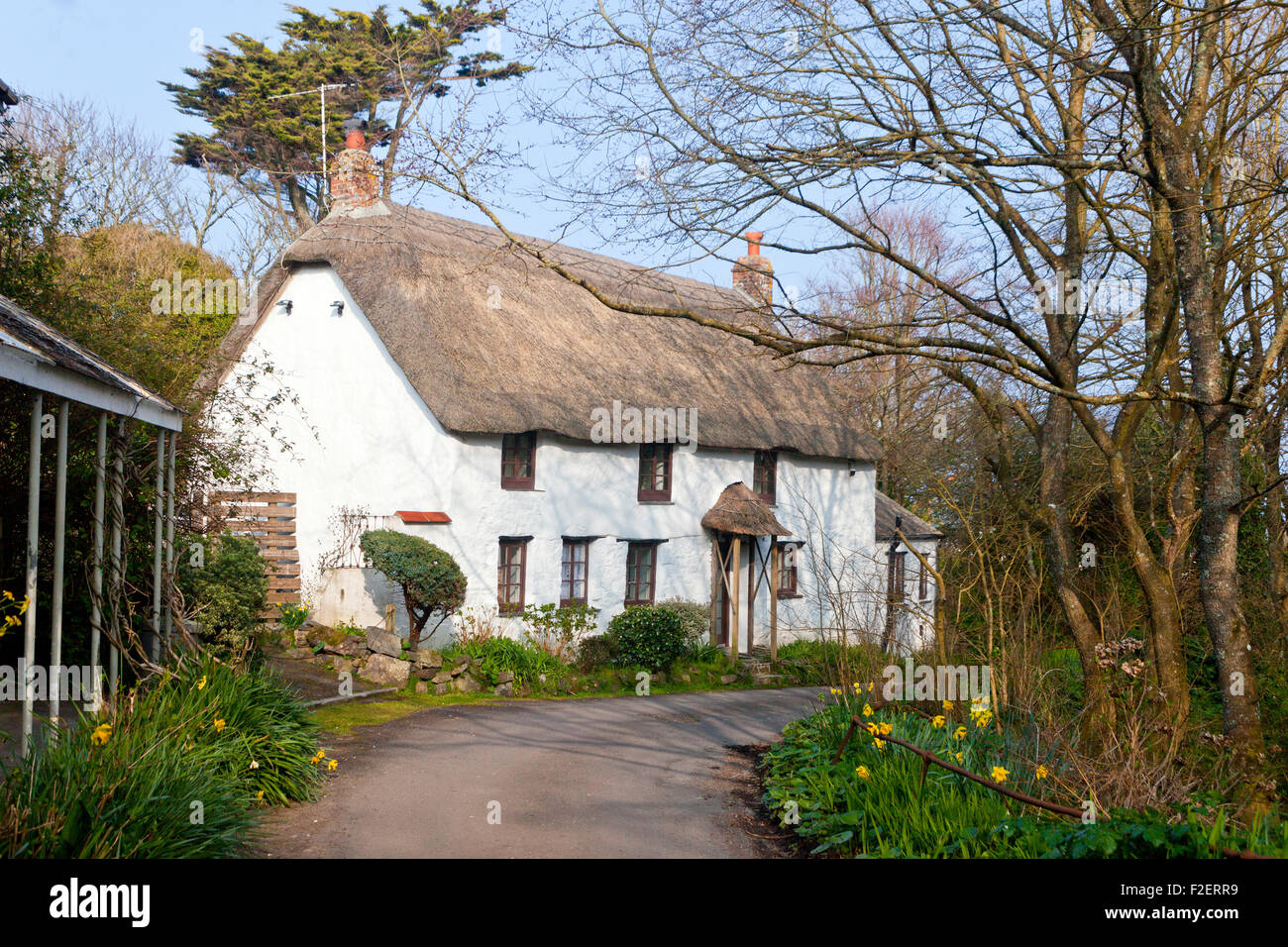 A Large Thatched Cottage In Church Cove Lizard Peninsula
