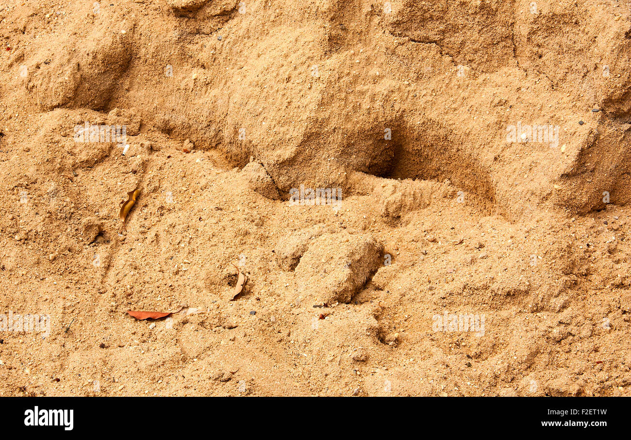 Using Sand The sand used in construction and used to is background Stock Photo - Alamy