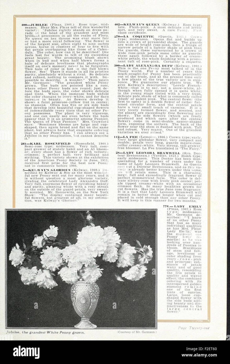 This catalog presents various types of peonies for ornamental purposes