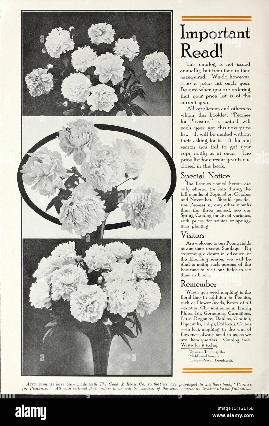 'Peonies for Pleasure' is a catalog dedicated to the cultivation of