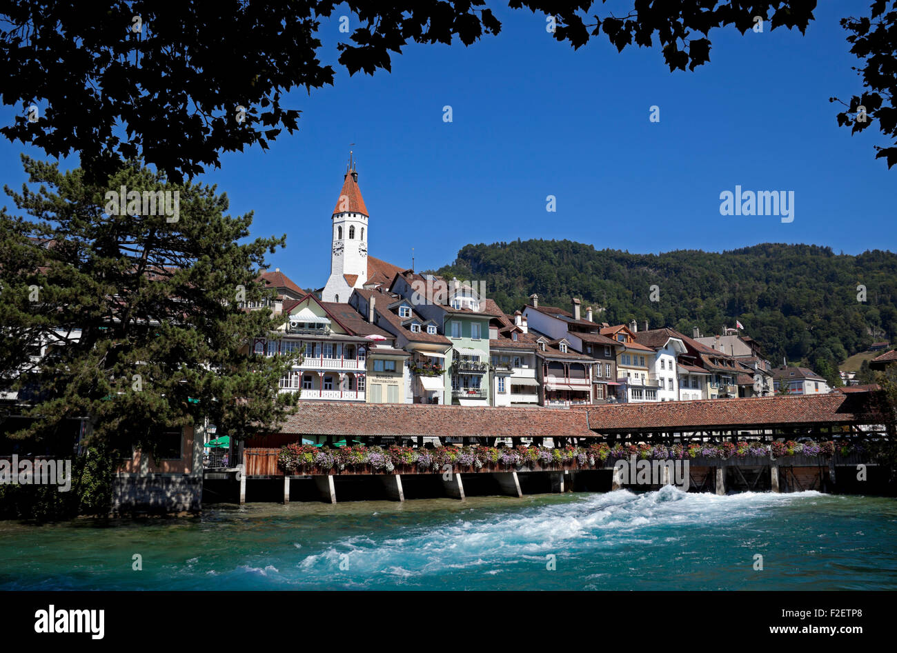 Thun river Aare canton of Bern Switzerland Europe Stock Photo
