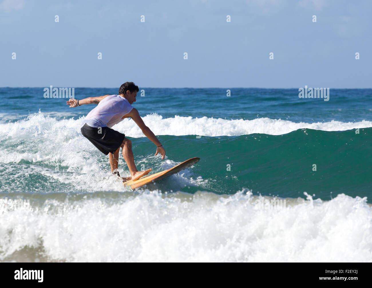 Surfer on longboard rides a beautiful blue wave in the sea Stock Photo