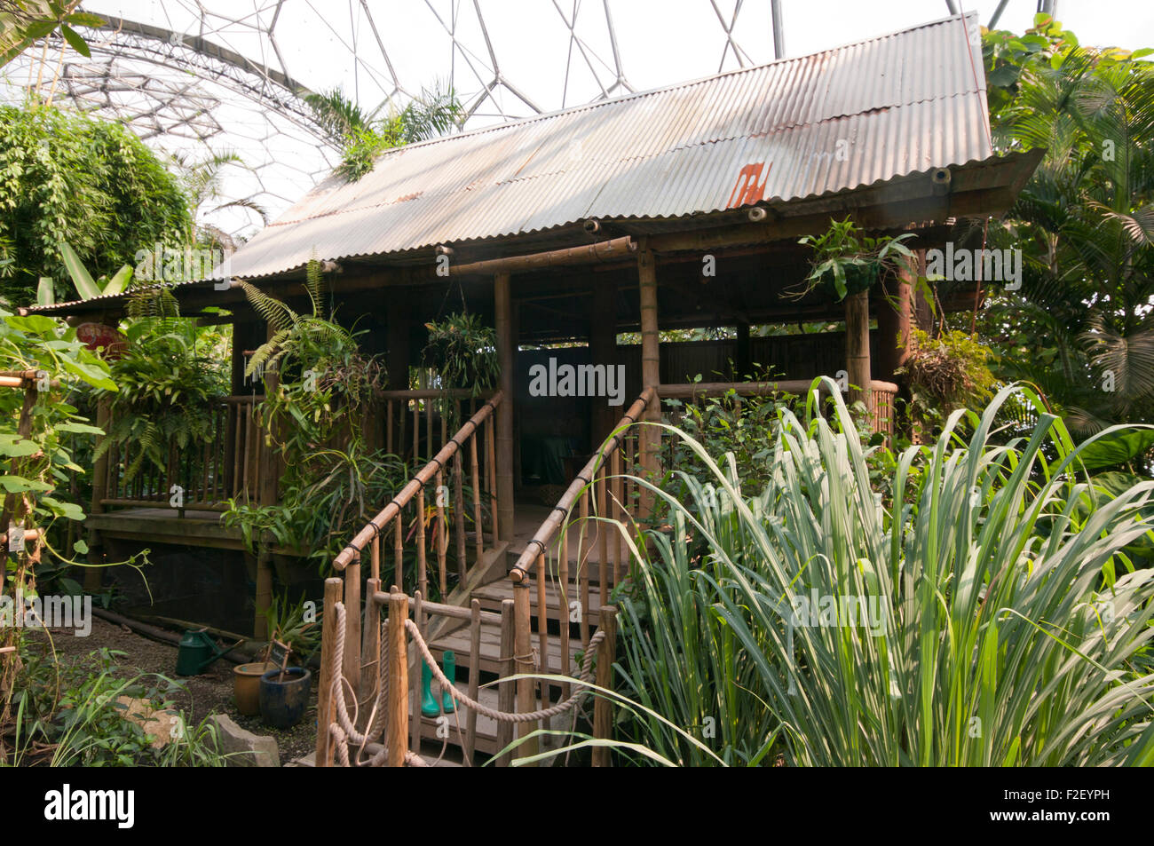 Postcard Featuring Images Of A Malay Hut Chinese Hut Vegetable Seller And A Pepper Plantation
