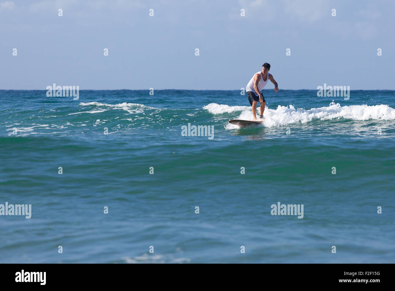 Surfer on longboard rides a beautiful blue wave in the sea Stock Photo