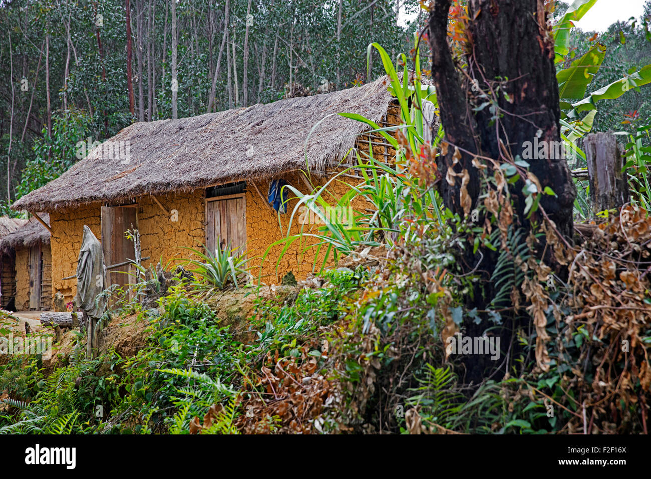 Mud house and burned tree stump from slash-and-burn, method of clearing the land for cultivation, Alaotra-Mangoro, Madagascar Stock Photo