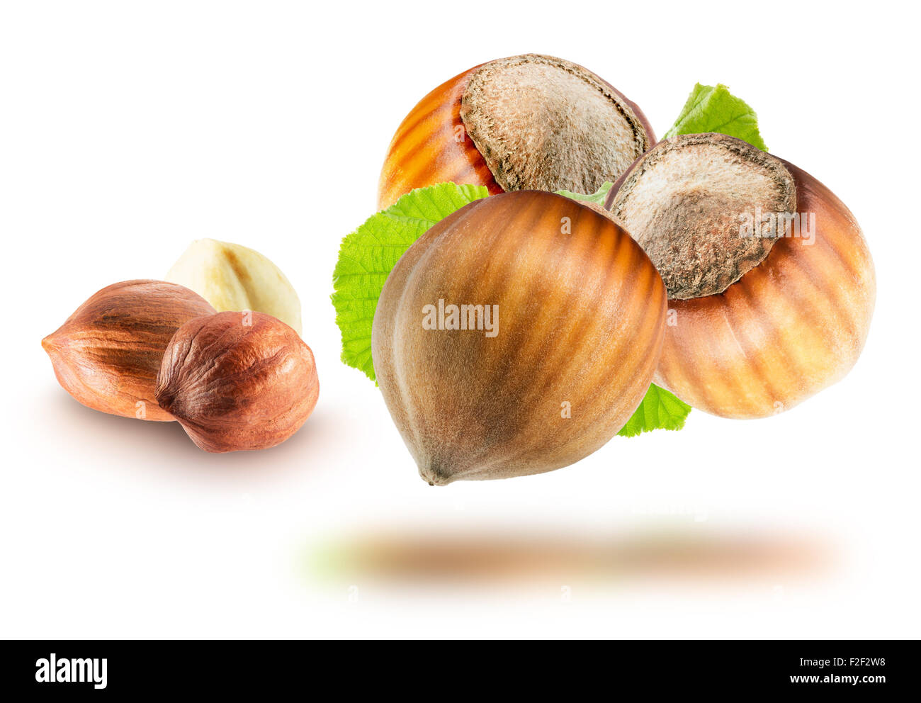 hazelnuts isolated on the white background. Stock Photo