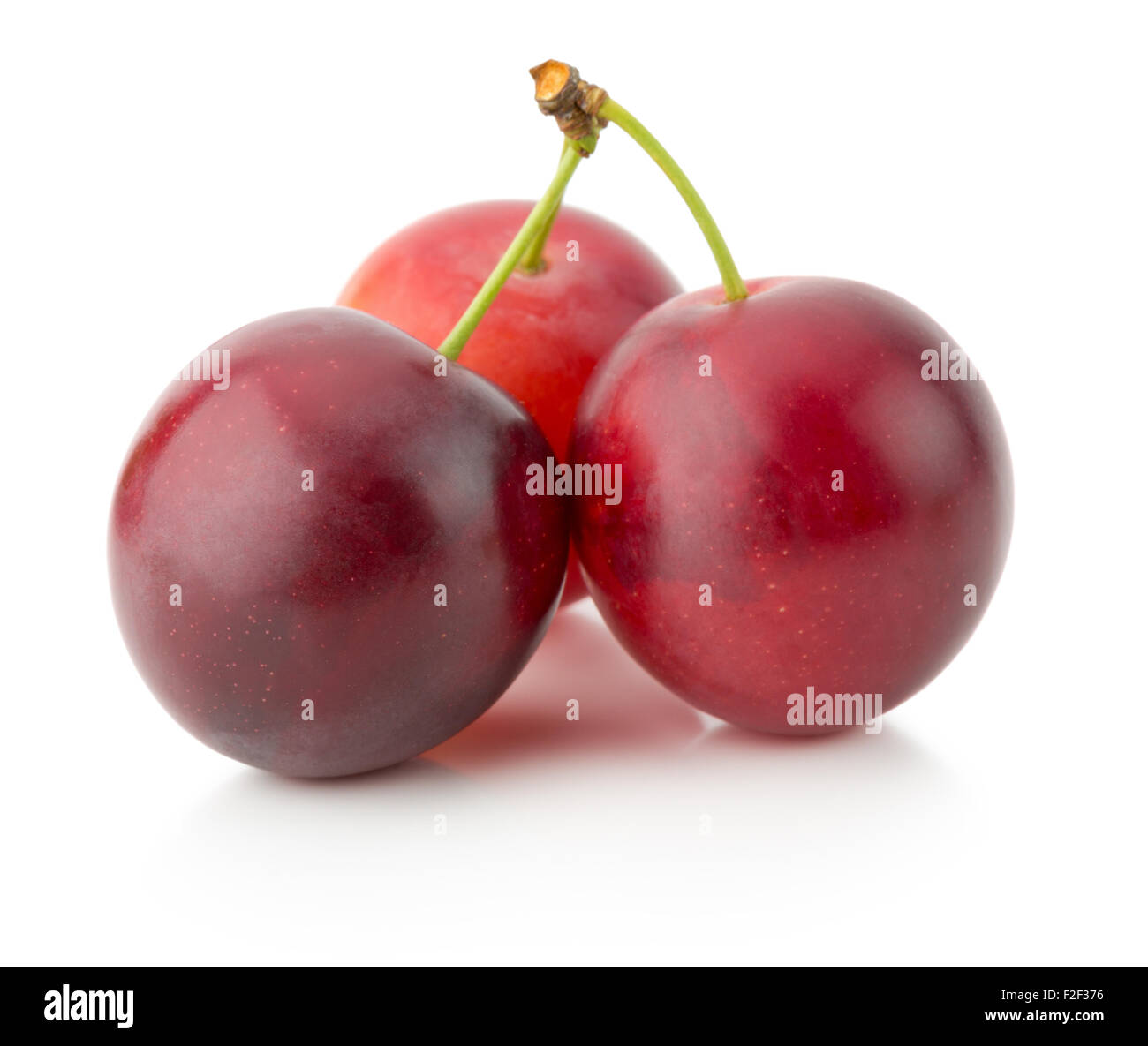 cherry plums isolated on the white background. Stock Photo