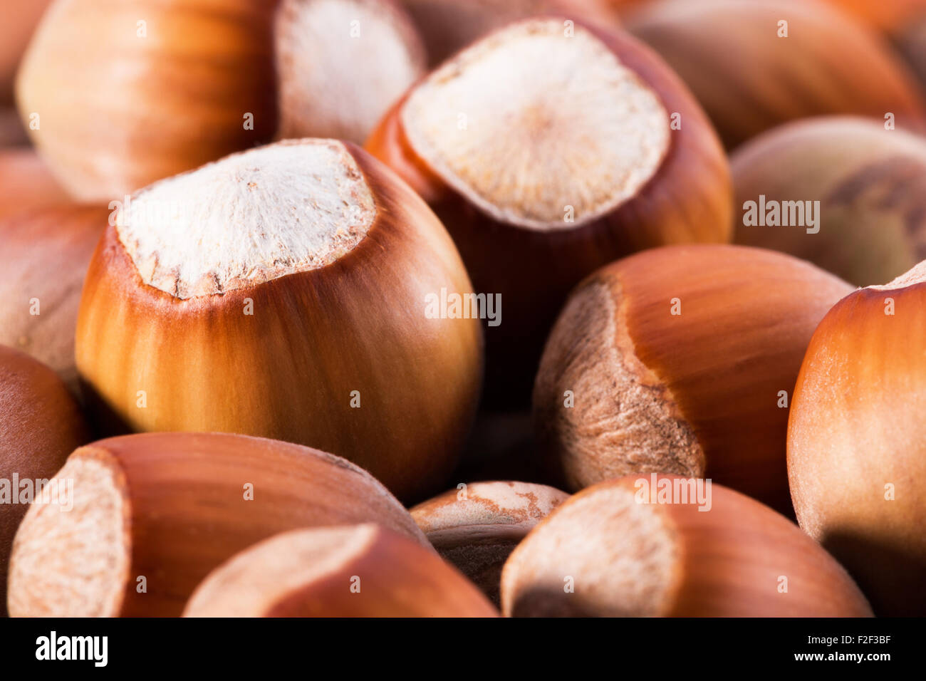close up of hazelnuts. Stock Photo